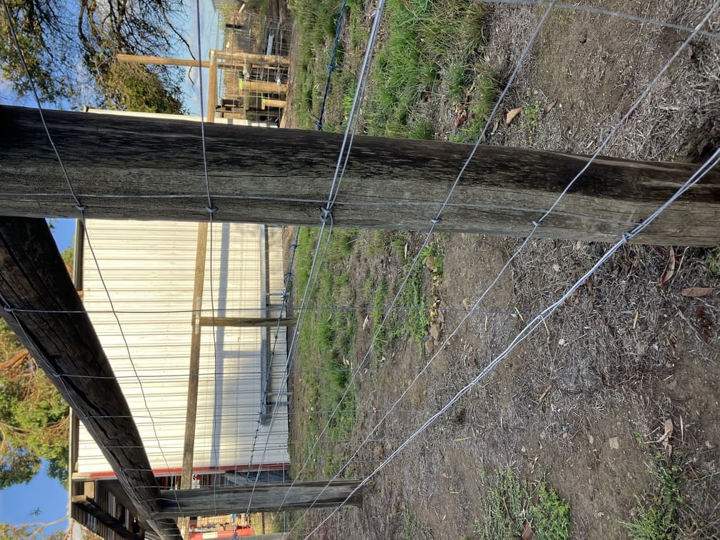 Fence example showing posts and fence line structure